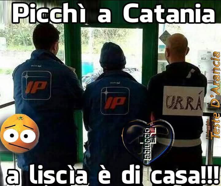 https://www.mimmorapisarda.it/2025/052.JPG