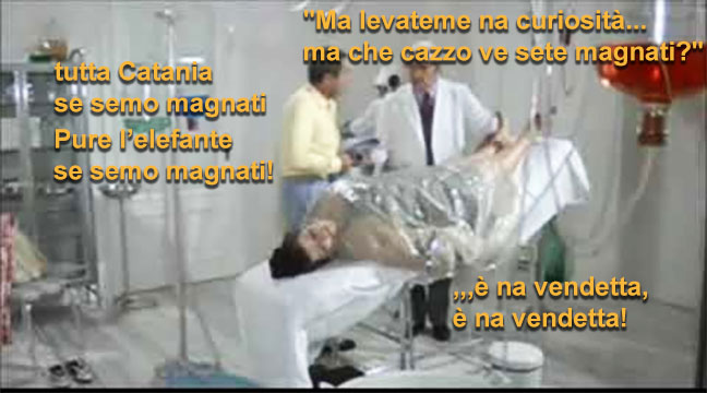 https://www.mimmorapisarda.it/2025/161.jpg
