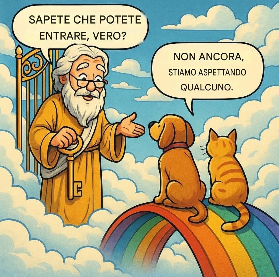 https://www.mimmorapisarda.it/2025/164.jpg