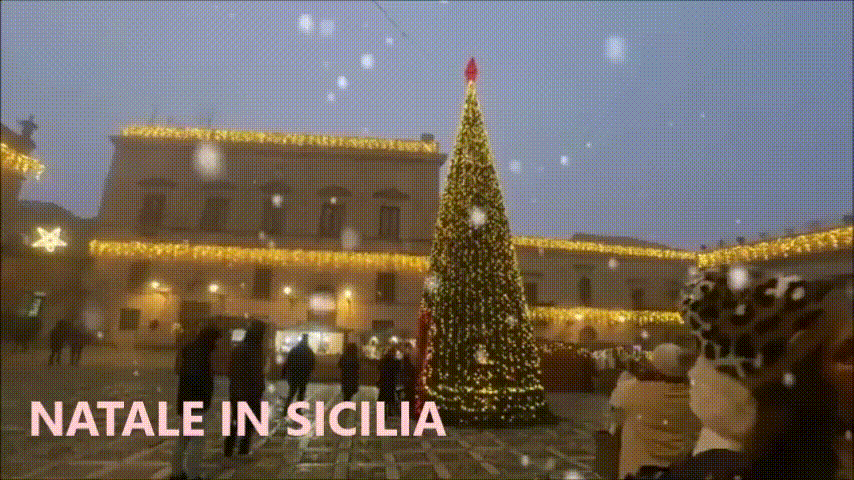 https://www.mimmorapisarda.it/2025/NATALE/TIT5.GIF