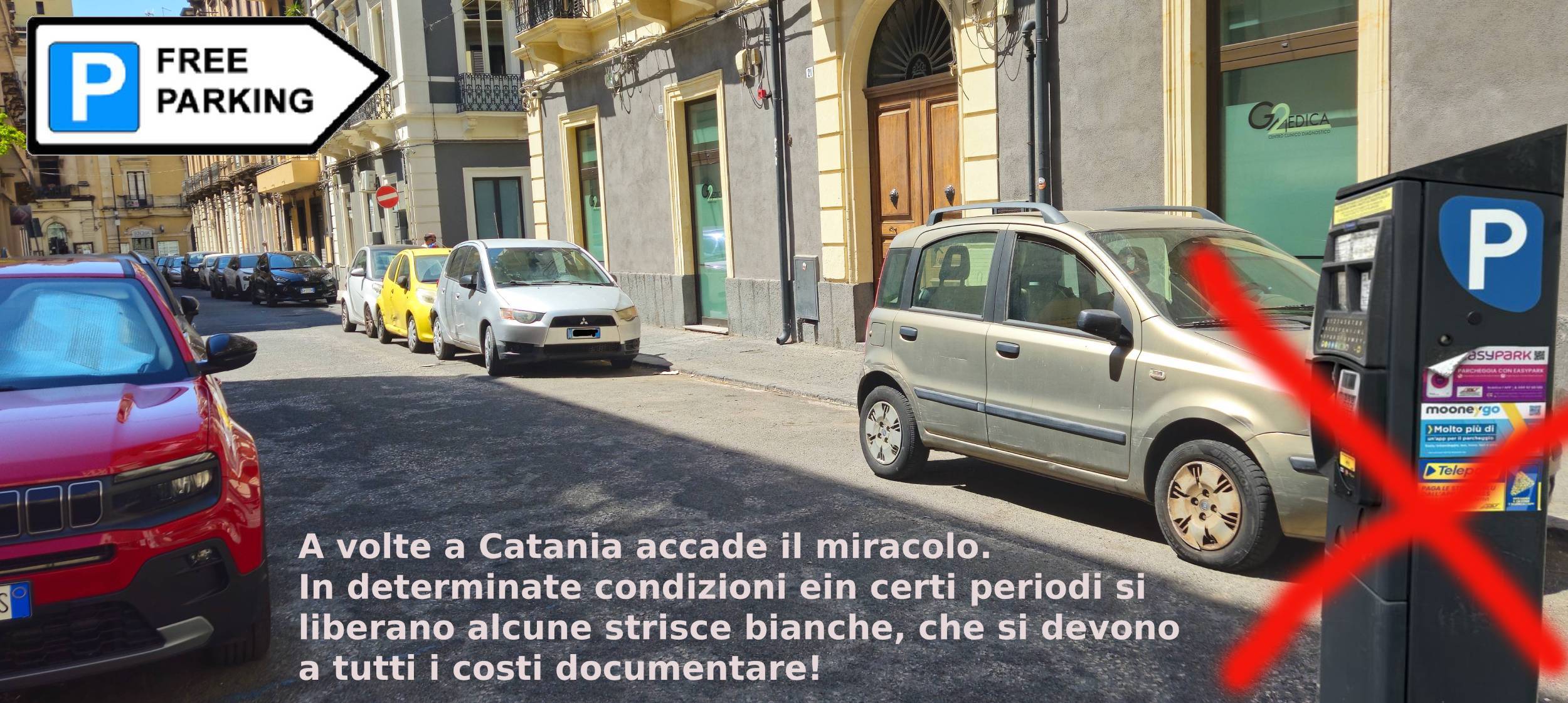https://www.mimmorapisarda.it/2025/fp2.jpg