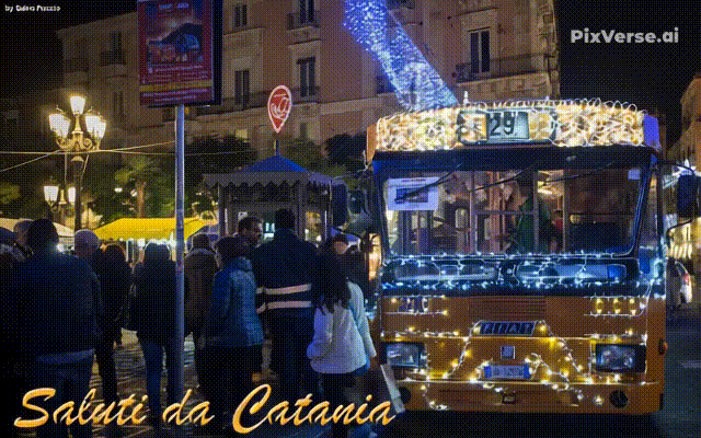 https://www.mimmorapisarda.it/2025/natale/bus.gif