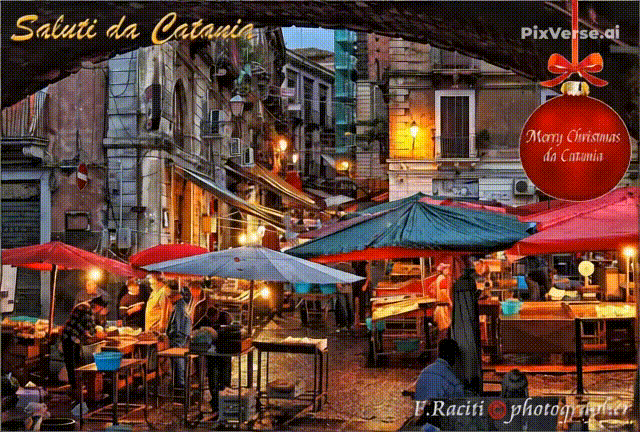 https://www.mimmorapisarda.it/2025/natale/nat29.gif
