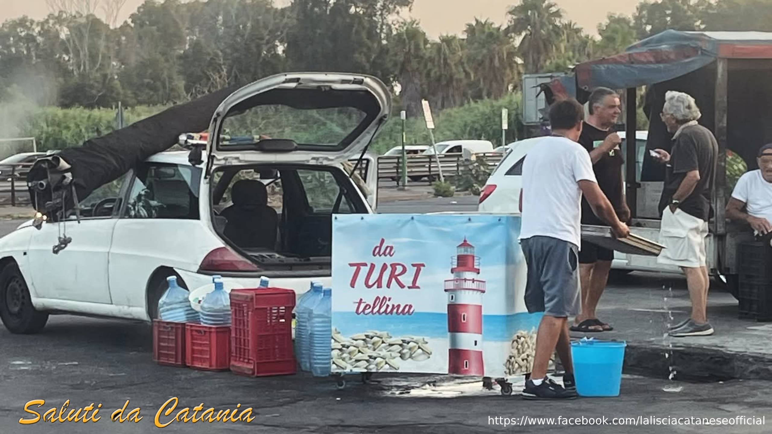 https://www.mimmorapisarda.it/2025/turite.jpg