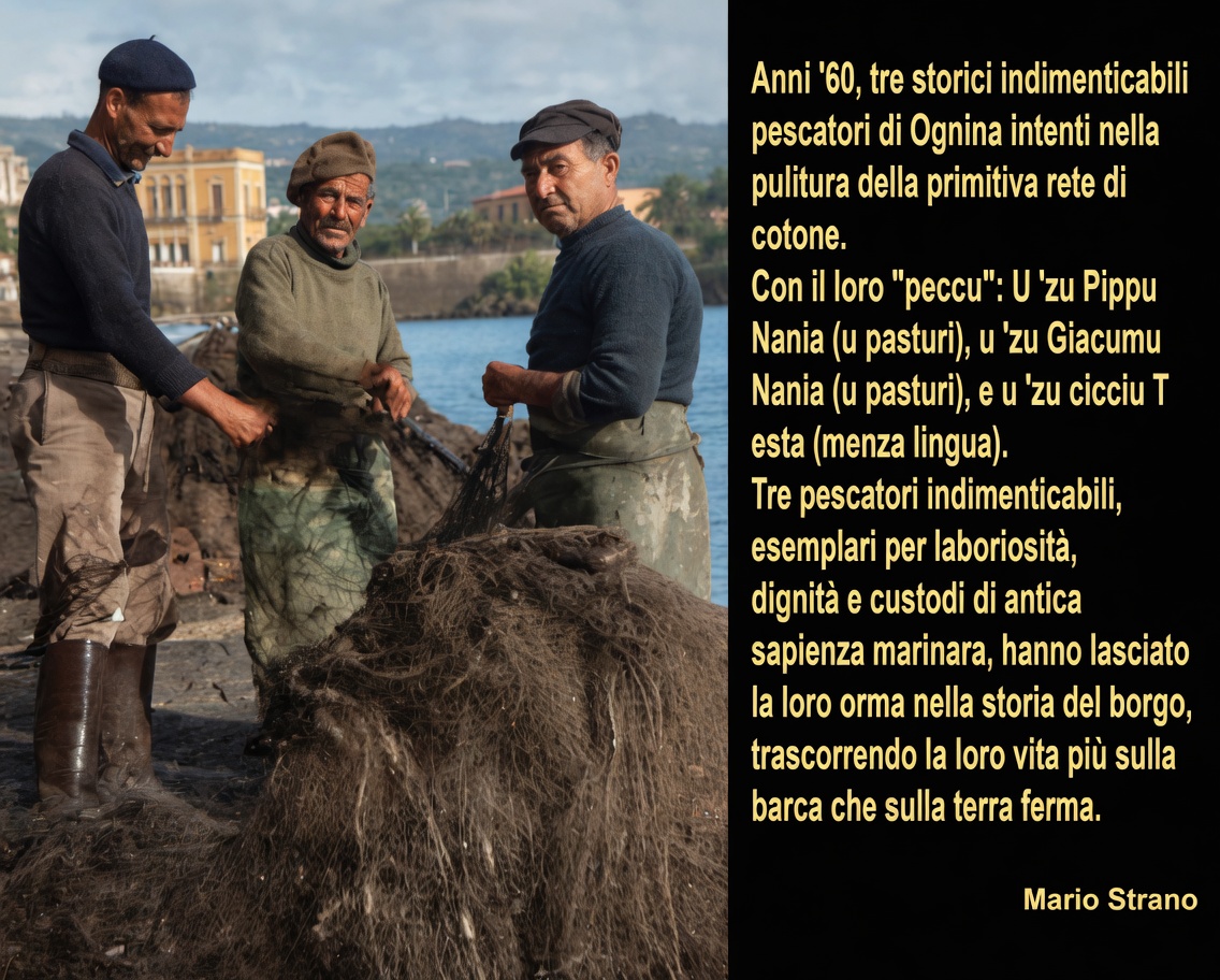 https://www.mimmorapisarda.it/2026/084.jpg