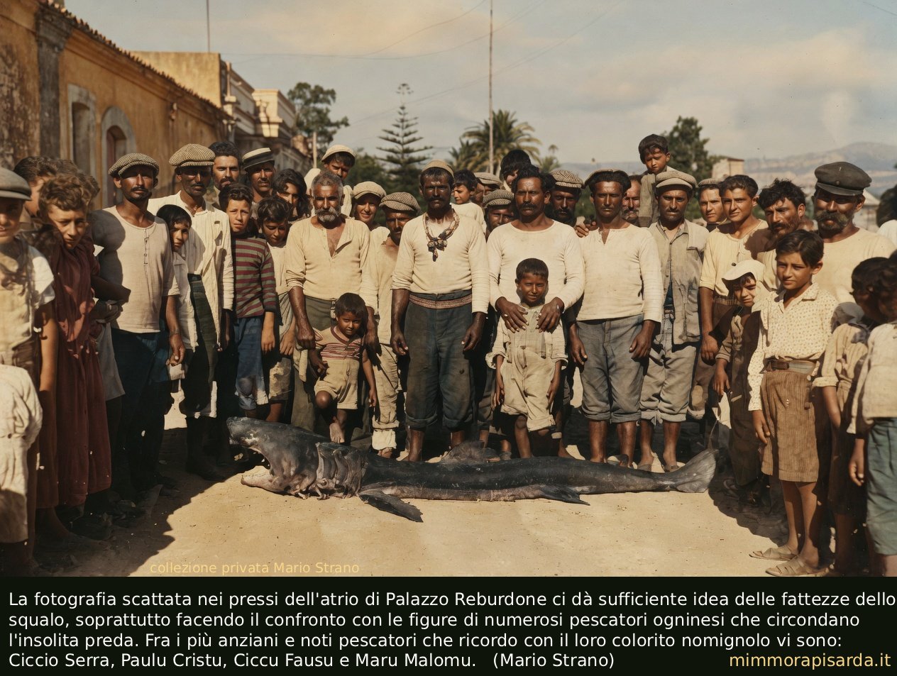 https://www.mimmorapisarda.it/2026/086.jpg