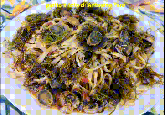 https://www.mimmorapisarda.it/2026/128.gif