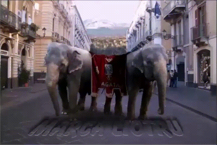 https://www.mimmorapisarda.it/2026/ELEFANTI.GIF
