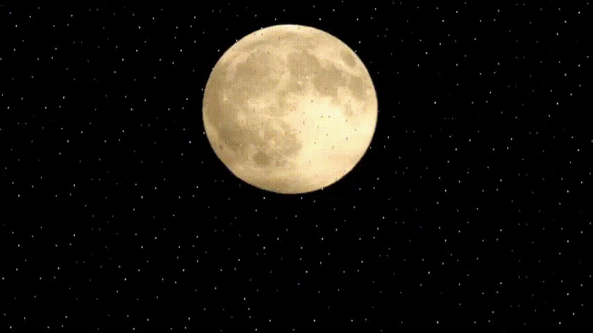 https://www.mimmorapisarda.it/2026/PERCHESIDICE.GIF