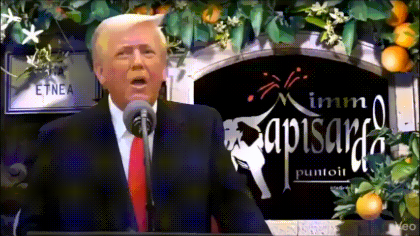 https://www.mimmorapisarda.it/2026/donald.gif
