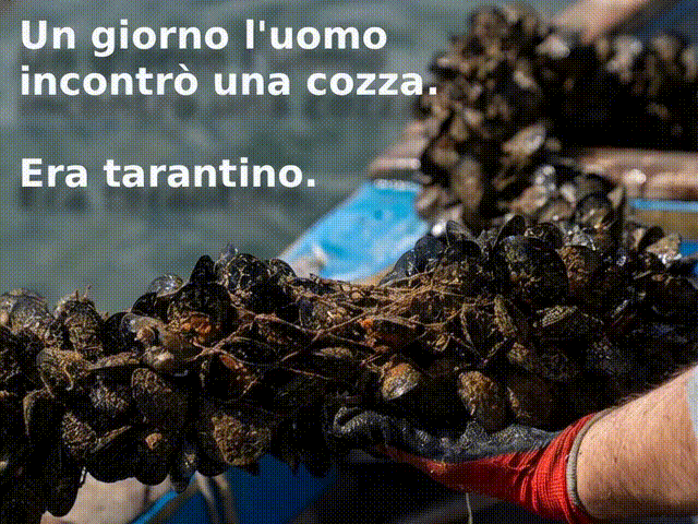 https://www.mimmorapisarda.it/2026/eratarantino.gif