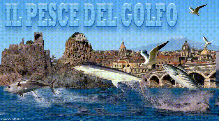 https://www.mimmorapisarda.it/2026/fish1.gif