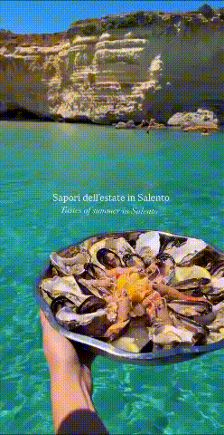 https://www.mimmorapisarda.it/2026/puglialatob.gif