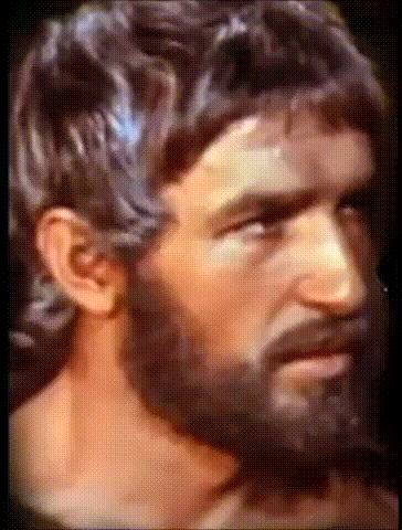 https://www.mimmorapisarda.it/2026/ulisse/guarda2.gif