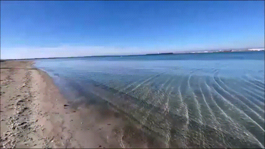 https://www.mimmorapisarda.it/2026/vialet.gif