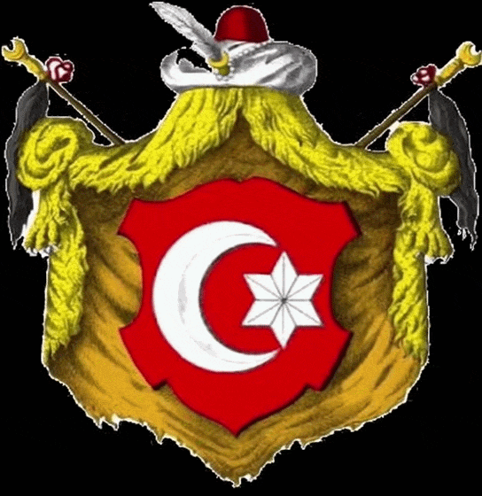 https://www.mimmorapisarda.it/STORIA/stemmi/greci.gif