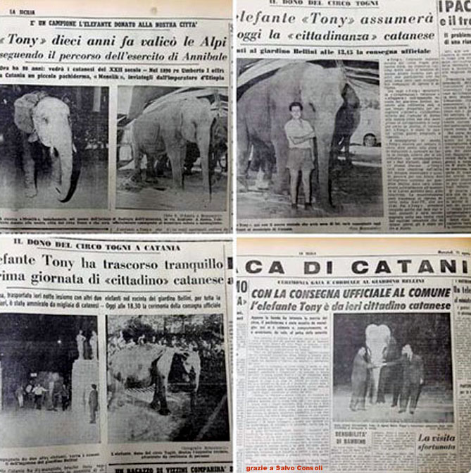 https://www.mimmorapisarda.it/altro/ara566.jpg