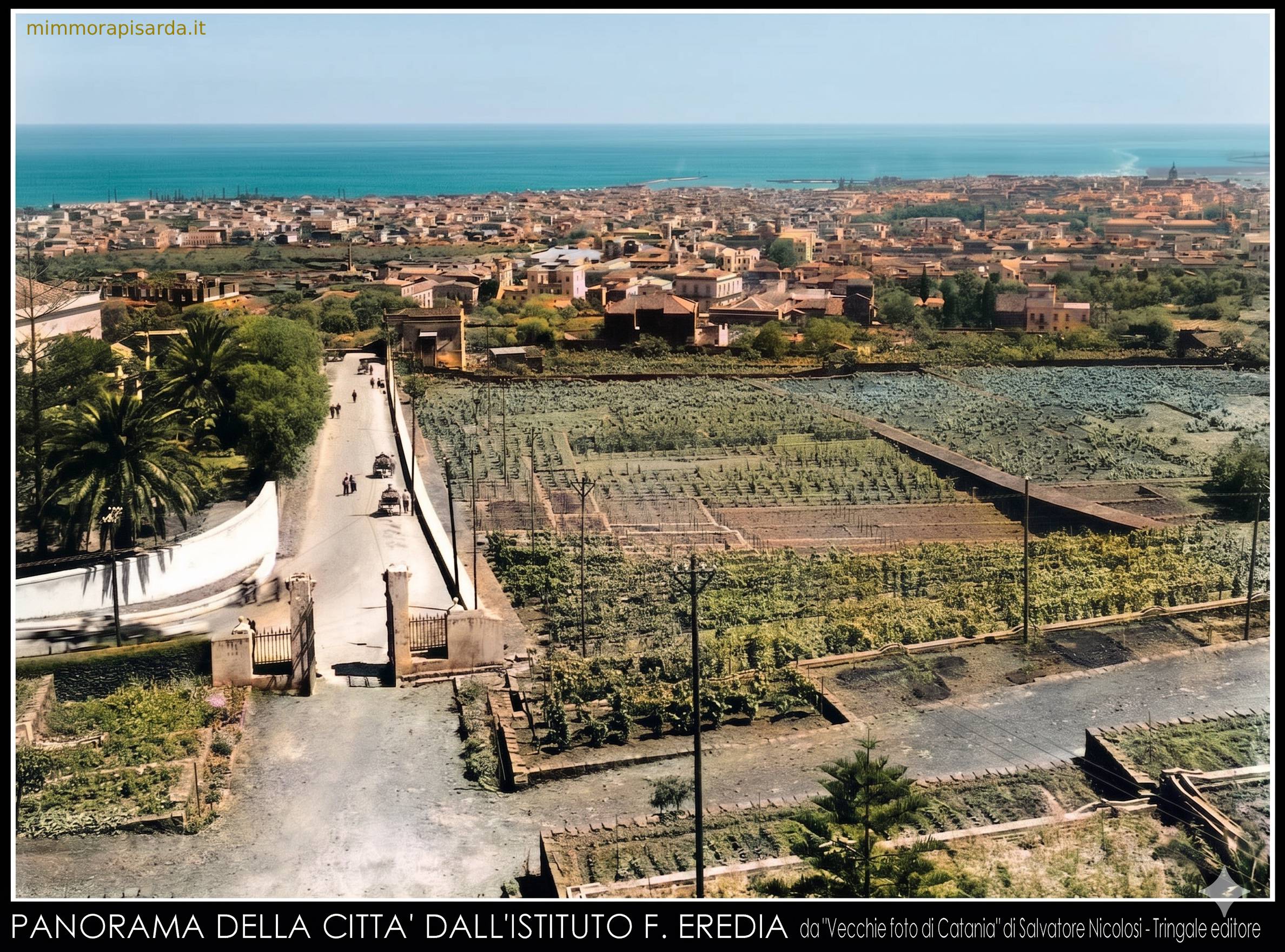 https://www.mimmorapisarda.it/antiche/color/catania/20.jpg