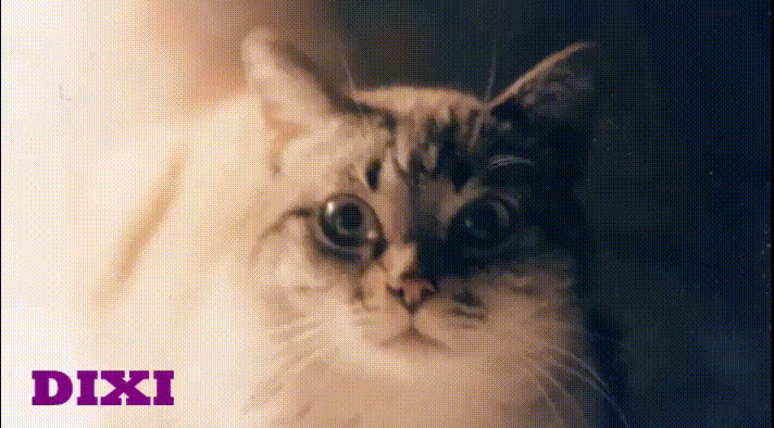 https://www.mimmorapisarda.it/dixi.gif