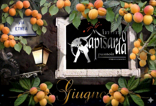 https://www.mimmorapisarda.it/home/giugno1.gif
