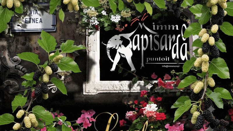 https://www.mimmorapisarda.it/home/giugno1.gif