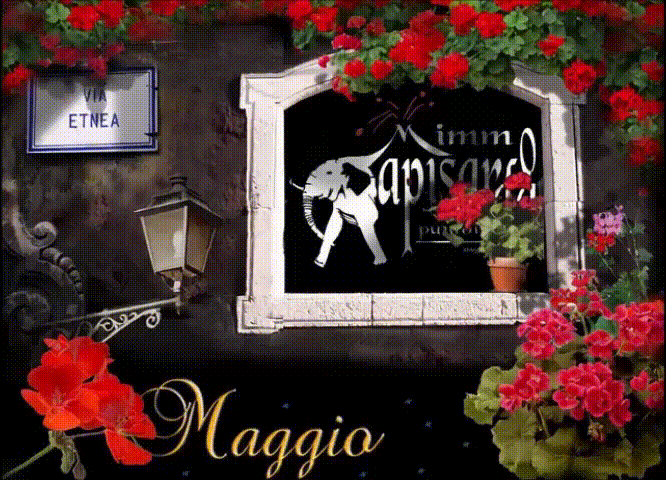 https://www.mimmorapisarda.it/home/mag2.gif