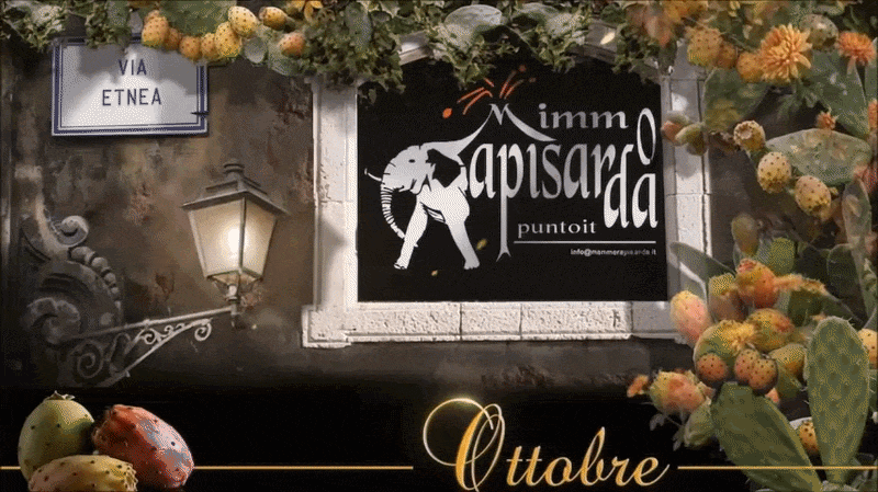 https://www.mimmorapisarda.it/home/set01.gif