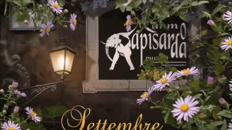 https://www.mimmorapisarda.it/home/set01.gif