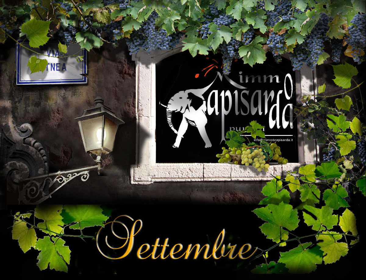 https://www.mimmorapisarda.it/home/LUGLIO.jpg