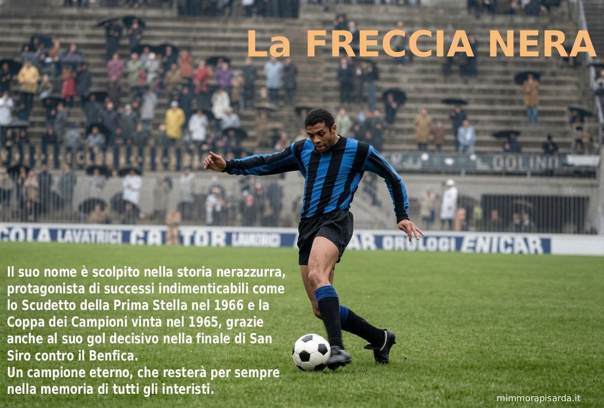 https://www.mimmorapisarda.it/inter2/70/70%20(63).jpg