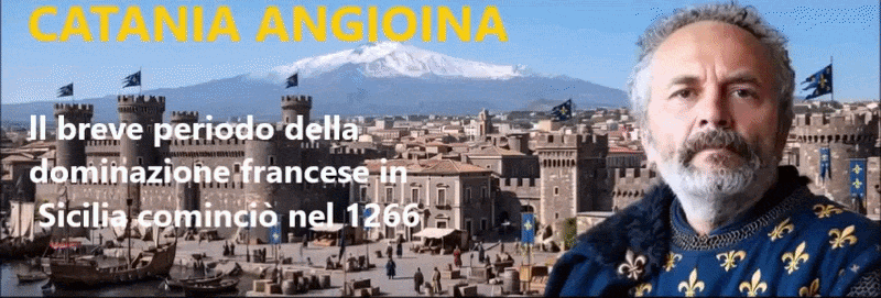 https://www.mimmorapisarda.it/storia/angioini.gif